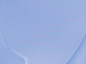 技术常见误区TOP10